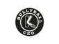 BullyBallCEO